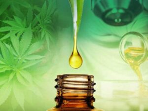 huile cbd